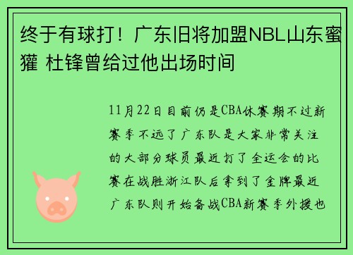 终于有球打！广东旧将加盟NBL山东蜜獾 杜锋曾给过他出场时间